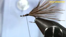 Video thumb for Turkey Biot Emerger