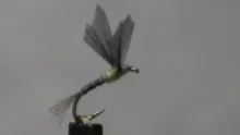 Video thumb for GB No Hackle Olive