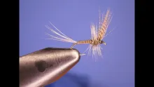 Video thumb for Tying the Oddball Quill Gordon with Johnny Utah