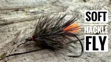 Video thumb for Soft Hackle Fly