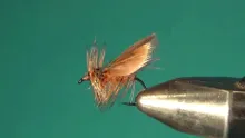 Video thumb for CW's October Caddis