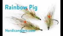 Video thumb for Rainbow pig