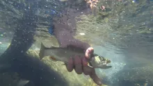 Video thumb for Dry Fly in High Mountain Creek