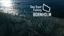 Video thumb for Sea Trout Fishing Bornholm