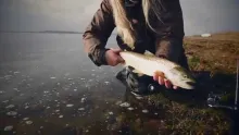 Video thumb for Sea Trout Battle Day 2