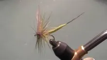 Video thumb for Olive Mayfly