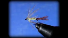 Video thumb for Sulphur Soft Hackle Emerger