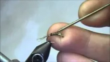 Video thumb for Pheasant Tail Nymph