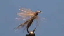 Video thumb for Midge Flymph