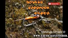 Video thumb for Butano Perdigon Nymph