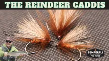 Video thumb for Rick's Reindeer Caddis