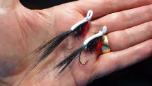 Video thumb for Black Gurgler (Surface Lure)