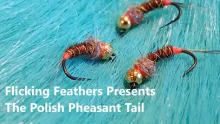 Video thumb for Polish Pheasant Tail