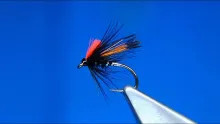 Video thumb for Hector's Red Head Wet Fly