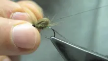 Video thumb for CDC Loop Wing Emerger