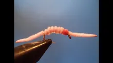 Video thumb for Hammer Creek Worm