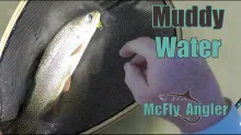 Video thumb for Windy and Off Color Water Fishing