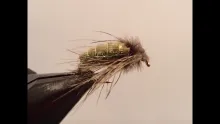 Video thumb for Hammer Creek Caddis Pupa