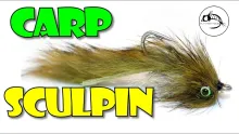 Video thumb for Carp Sculpin