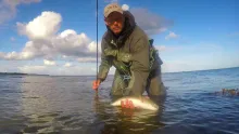 Video thumb for Fly Fishing Sea Trout Summer 2016