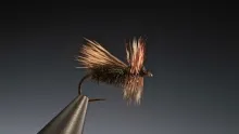 Video thumb for Peacock Caddis