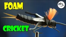 Video thumb for Foam Cricket