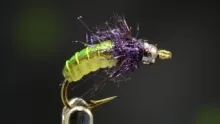 Video thumb for Caddis Pupa (multi-toned) 