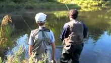 Video thumb for Fly-fishing for wild trout - French style