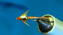 Video thumb for Flash Back Pheasant Tail Nymph