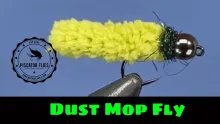 Video thumb for Dust Mop Fly