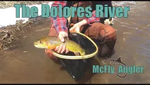 Video thumb for The Delores River