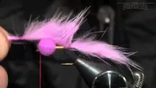 Video thumb for Pink Mink Booby