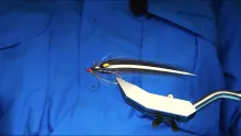 Video thumb for Blue Elver