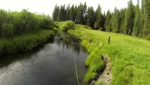 Video thumb for Fly Fishing on Yellow Creek