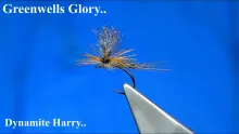 Video thumb for Greenwells Glory Dynamite Harry