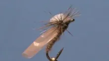 Video thumb for GB Caddis Parachute