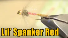 Video thumb for Delektable Lil' Spanker Red