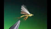 Video thumb for Green Drake Emerger