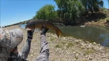 Video thumb for Carp Fishing Australia: Fly Fishing