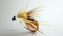 Video thumb for Tying the Latex Caddis Pupa