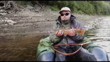 Video thumb for Underwater View of Trout and Grayling