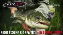 Video thumb for Sight Fishing Big Sea Trout in a Small River