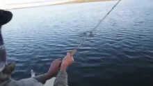 Video thumb for Monster trout at Monster Lake