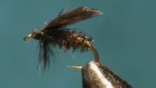 Video thumb for Alder - a Classic Wet Fly