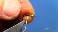 Video thumb for Tungsten Quill Emerging Nymph