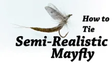 Video thumb for Semi Realistic Mayfly