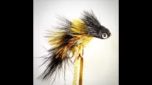 Video thumb for Articulating Flies Part 1