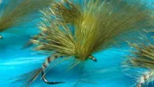 Video thumb for Large MayFly Emerger