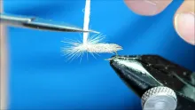 Video thumb for Nyblom Caddis dry fly