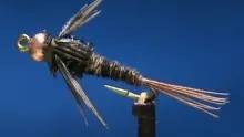 Video thumb for Beadhead Pheasant Tail